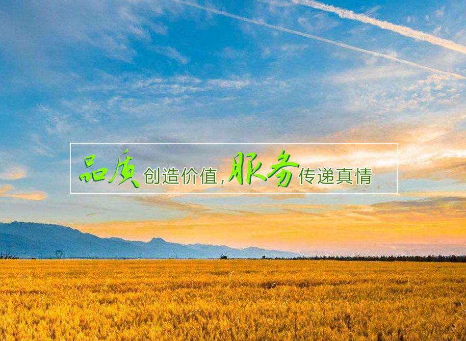 &ldquo;四個抓好&rdquo;讓農機保障春耕生產